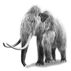 Fossil genetic research resources